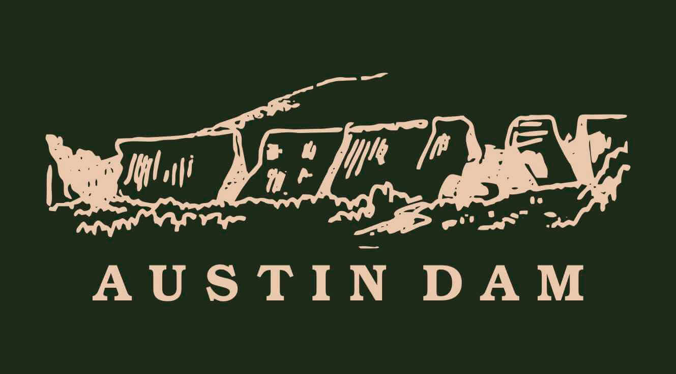 Austin Dam Memorial Park logo