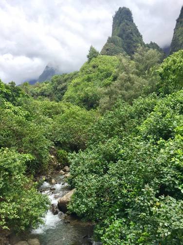 Picture 1 of 'Iao Needle Lookout Trail