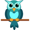 meril888 user profile picture
