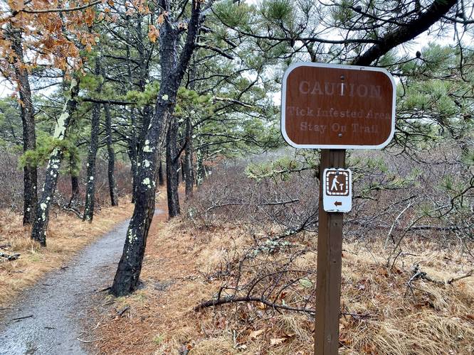 Tick infested area - stay on-trail