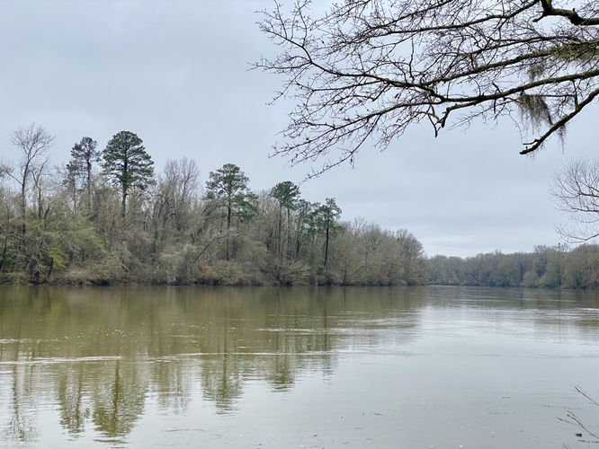 View of the Congaree River