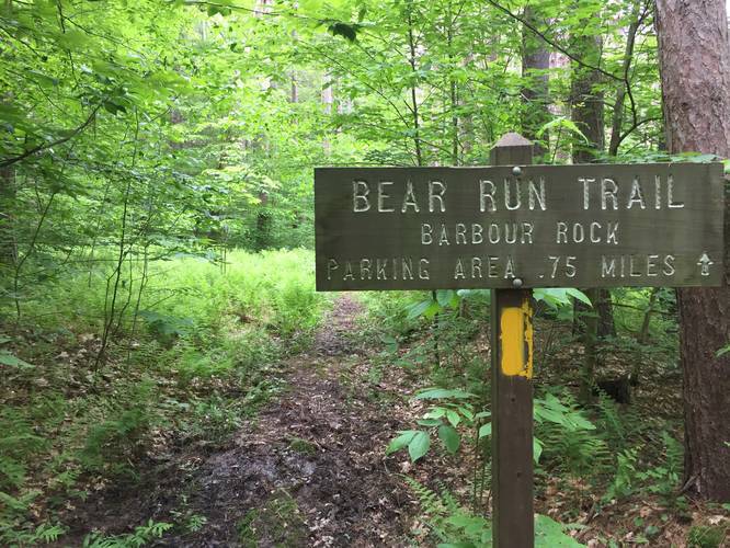 Bear Run Trail - Bear Run Trail album