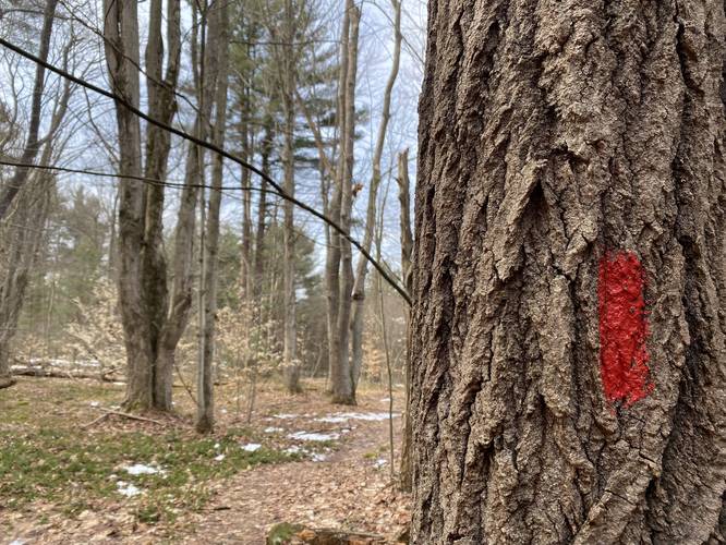 Red blazes of the Quarry Trail