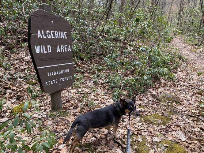 Jax with Algerine Wild Area sign
