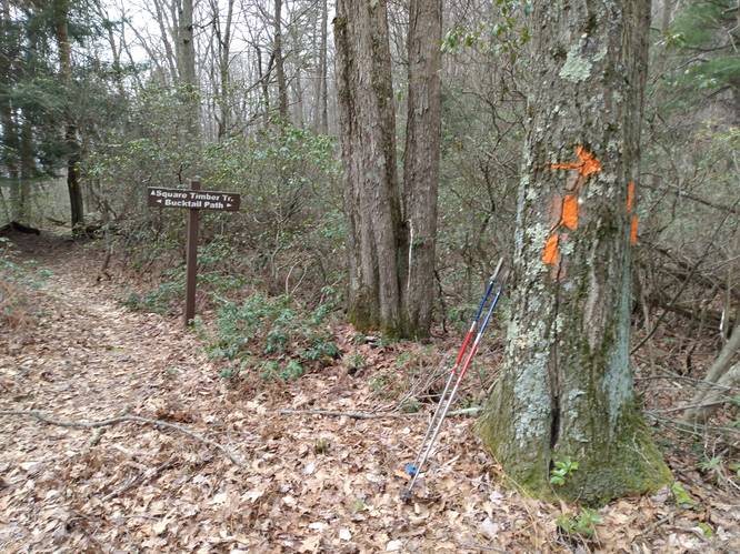 Square Timber Trail Junction