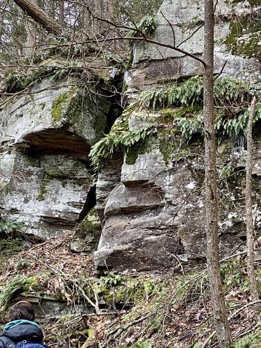 Rocky outcropping (face in the rocks)
