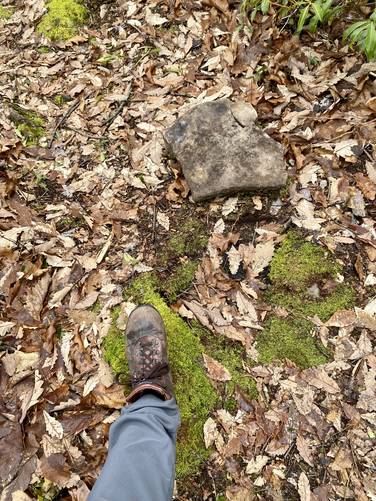 Large rock flipped over by a bear