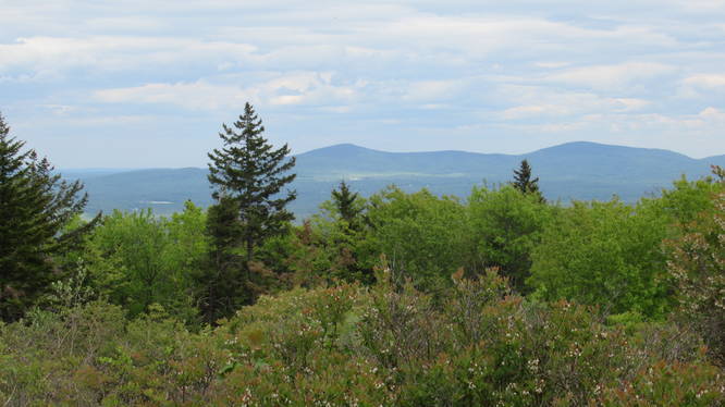 View from the stone summit seat