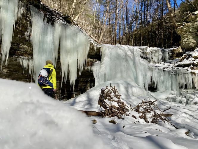 Frozen Campbell Run Falls