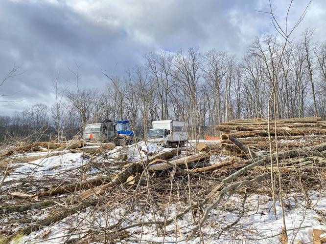 logging equipment / trucks