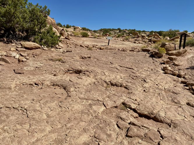 Copper Ridge Dinosaur Tracks Interpretive Site default picture