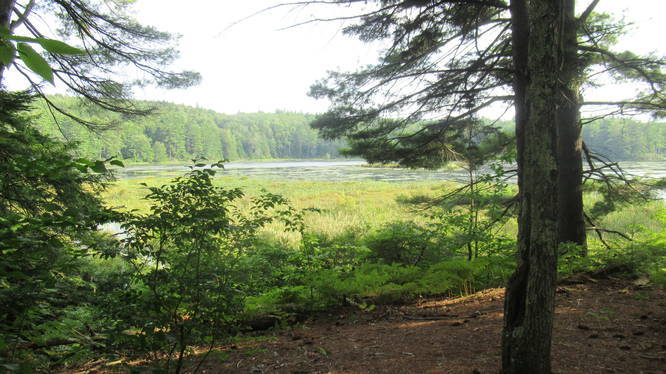 Cranberry Meadow Pond Trail default picture