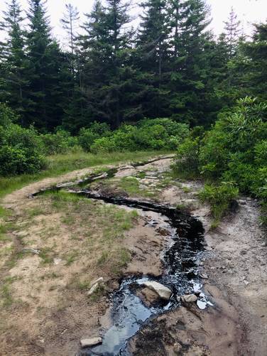 Oil spill leaking into drainage water