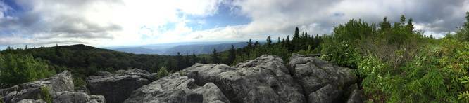 Picture 2 of Dolly Sods Lookout