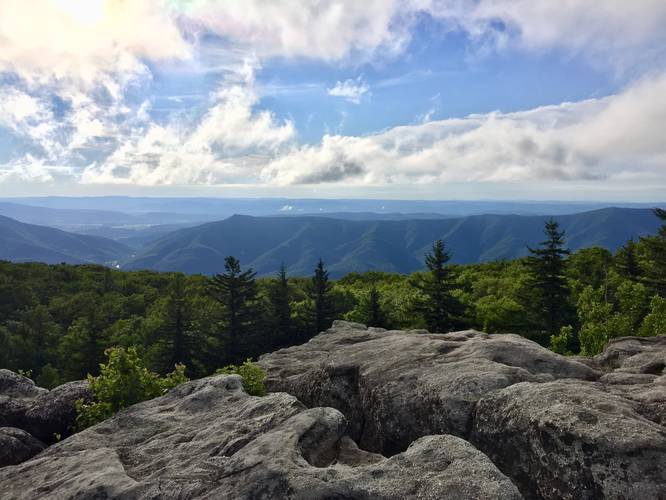 Dolly Sods Scenic Lookout