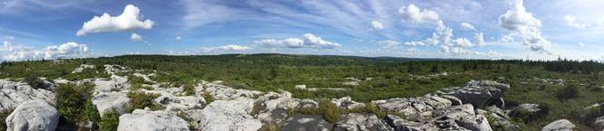 Picture 36 of Dolly Sods Rocky Ridge Trail