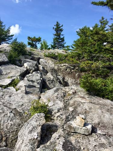 Hike up these rocks and over to a clearly marked trail