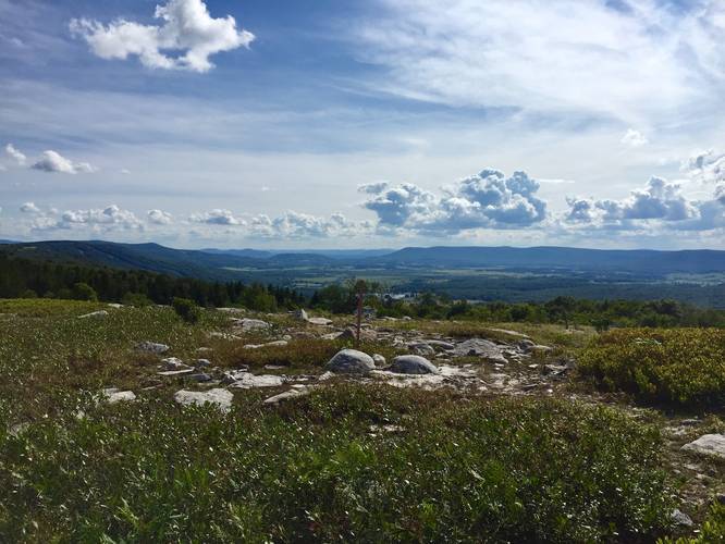 View of Canaan Valley