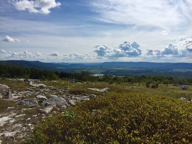 Picture 43 of Dolly Sods Rocky Ridge Trail