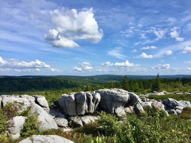 View into Dolly Sods