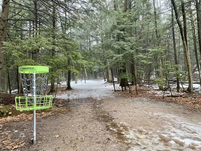 Green blaze trail with disc golf course