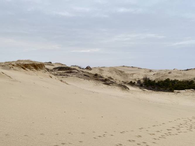 Dunes of the Dune Shacks Trail