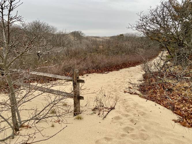 Picture 17 of Dune Shacks Trail
