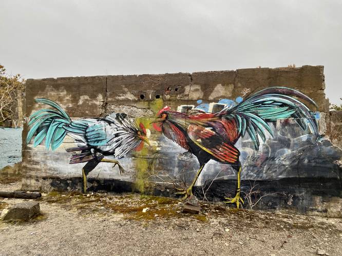 Rooster graffiti on "Shark Henge"