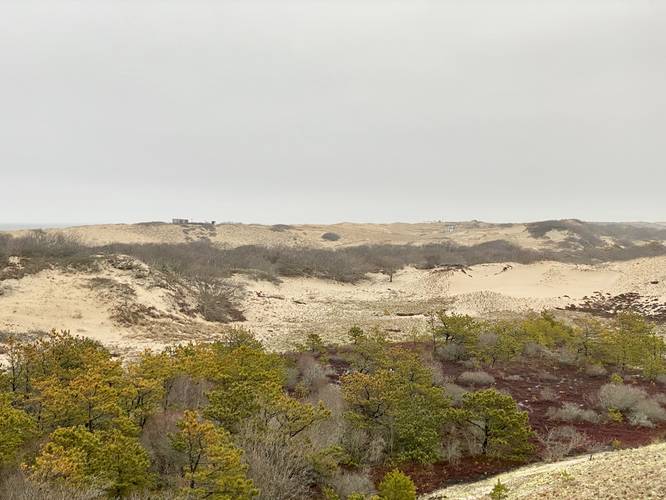 View of dune shacks