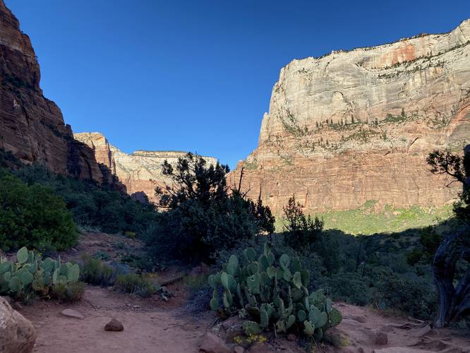 Northern view of Zion Valley from the Kayenta Trail