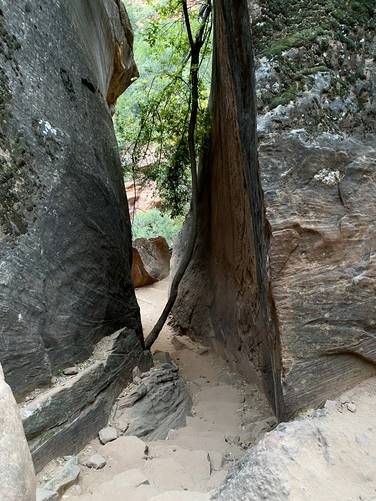 Trail leads to Lower Emerald Pool