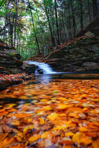 Picture 3 of Fall splendor on Daves waterfall paradise 