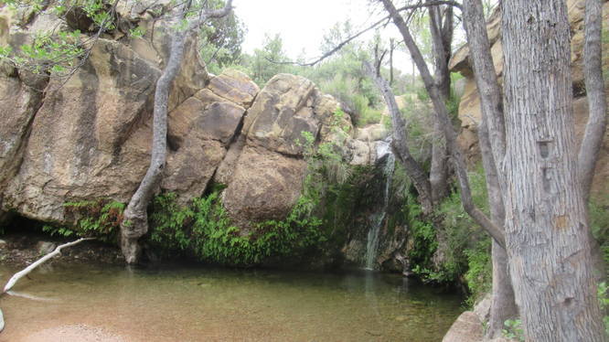 Waterfall and pool below