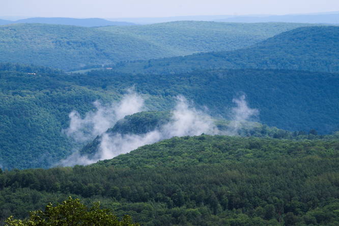 View of fog lifting from Pine Creek Gorge (PA Grand Canyon) near the Bradley Wales lookout area