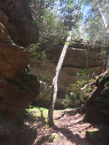 Picture 27 of Grays Arch Loop Trail
