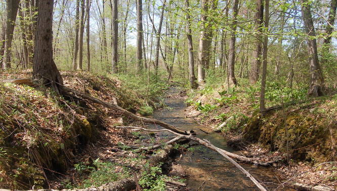 Picture 1 of Hampshire College Conservation Loop