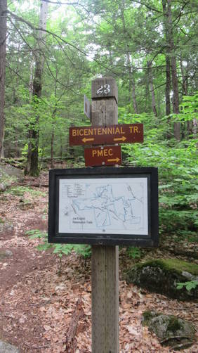 Most trail junctions are numbered, named and have maps