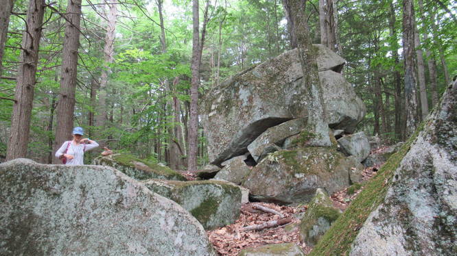 We always love finding large boulders along the trail