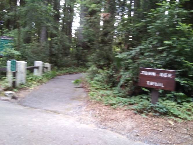 Picture 11 of John Dee Trail