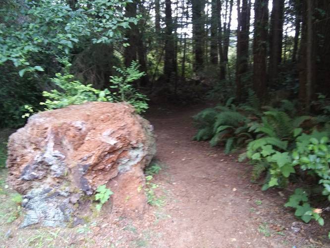 Picture 3 of John Dee Trail