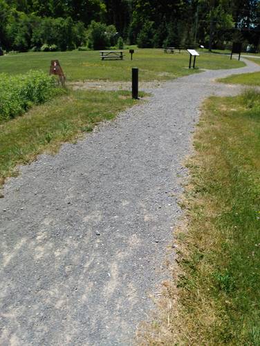 Pathway to Picnic Area