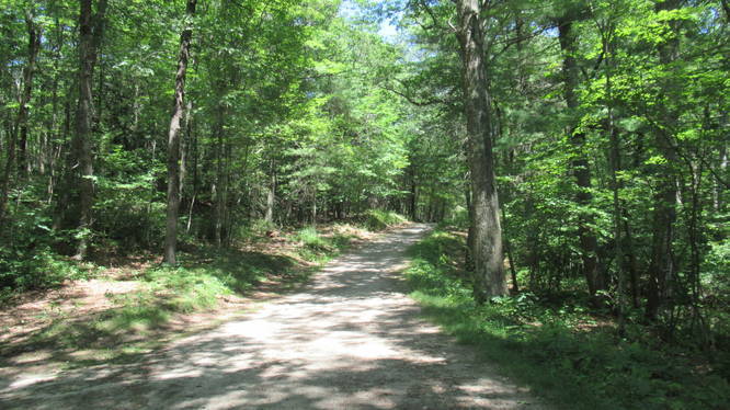 Rocky Pond Road welcomes you to the trails