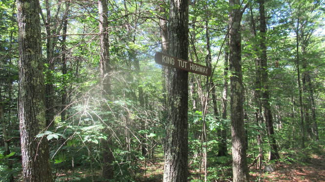 Trail name sign at junction