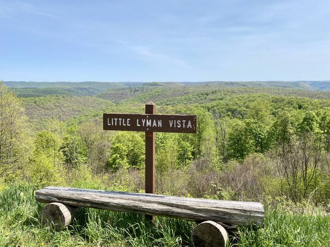 Little Lyman Vista