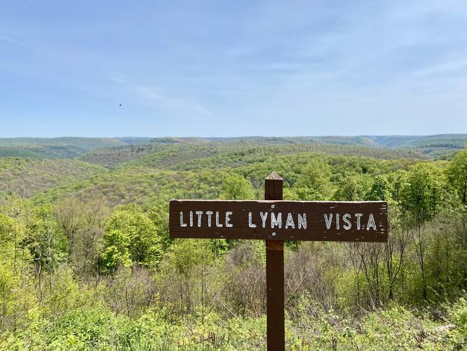 Little Lyman Vista
