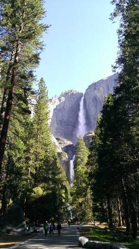 Picture 1 of Lower Yosemite Falls