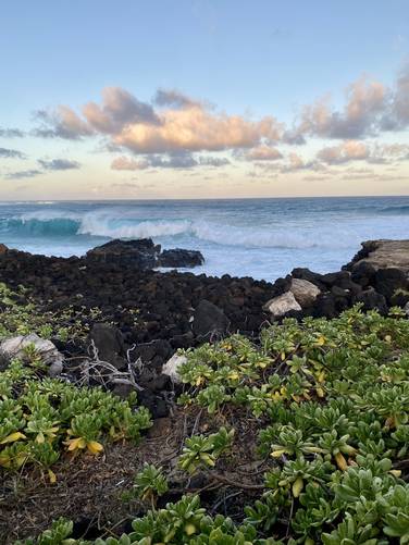 Naupaka in the foreground with waves crashing ashore in Keoneloa Bay