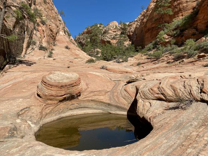 Large pothole of water at Many Pools in Zion National Park