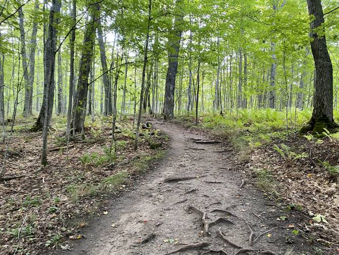 Trail follows a dirt substrate as it leads downhill toward the Miners River