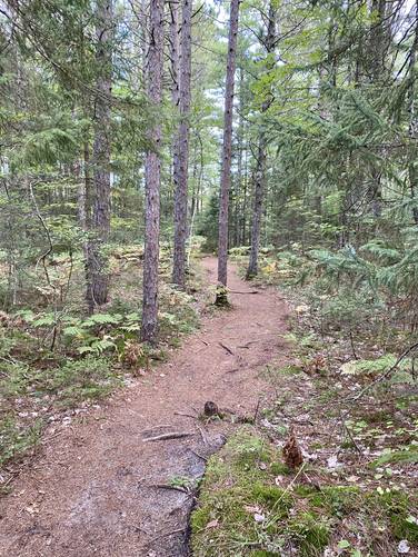 North Country Trail follows pine-laden path along Miners River